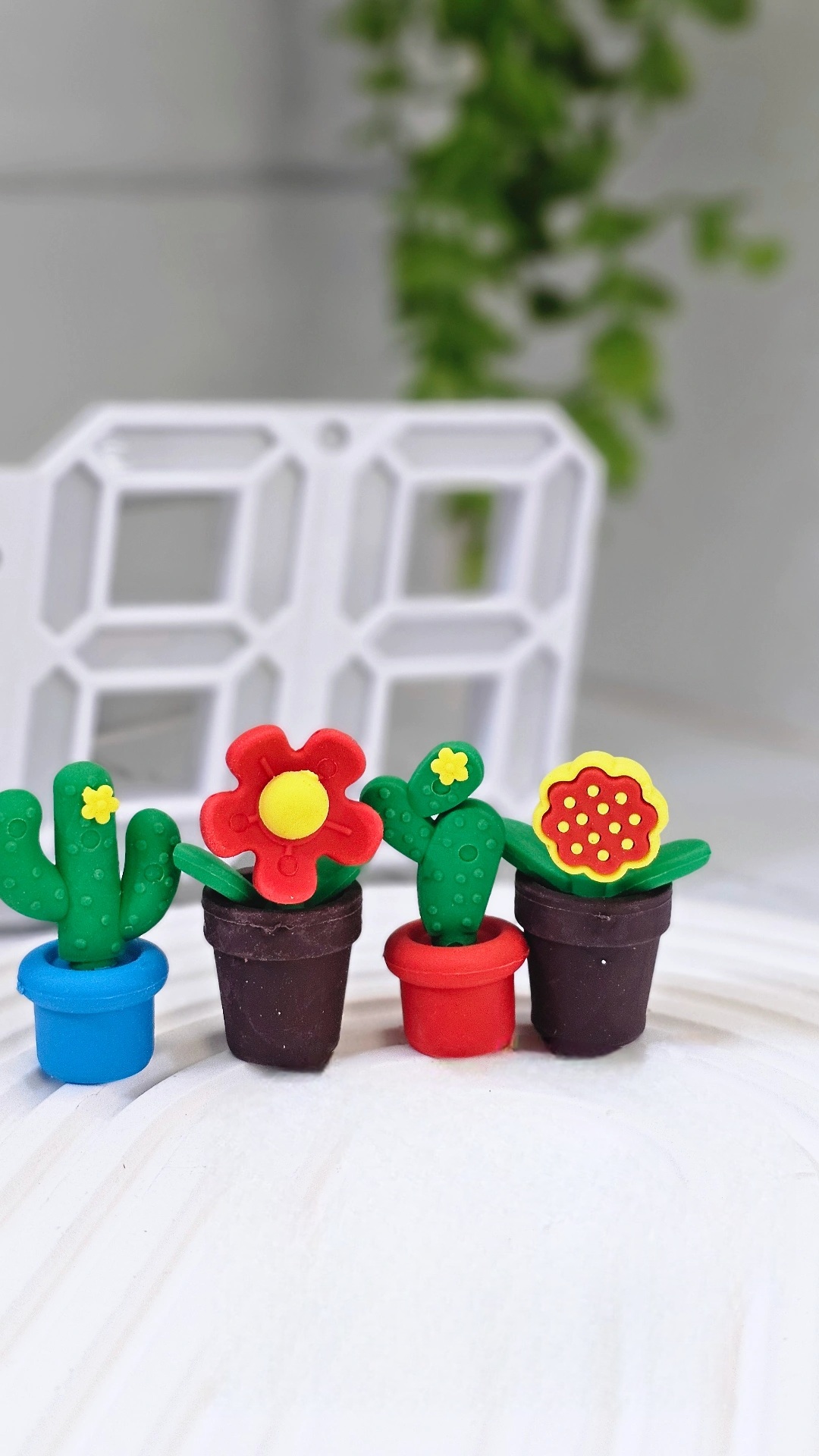 پاکن ۴ عددی فانتزی کاکتوس