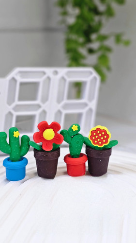 پاکن ۴ عددی فانتزی کاکتوس