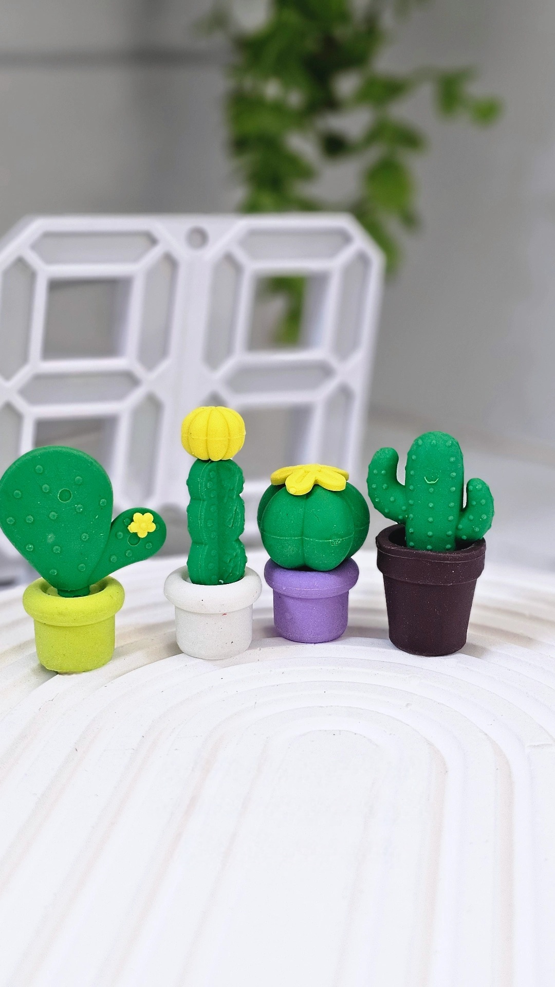 پاکن ۴ عددی فانتزی کاکتوس