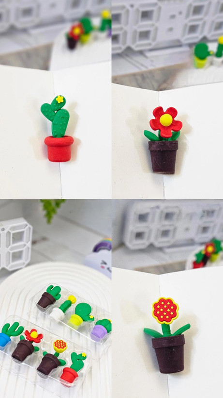 پاکن ۴ عددی فانتزی کاکتوس